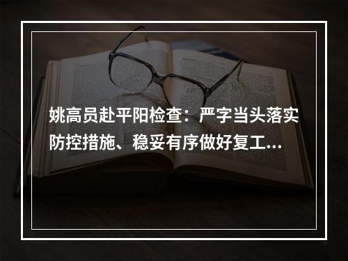 姚高员赴平阳检查：严字当头落实防控措施、稳妥有序做好复工准备