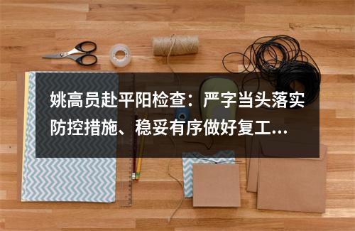 姚高员赴平阳检查：严字当头落实防控措施、稳妥有序做好复工准备