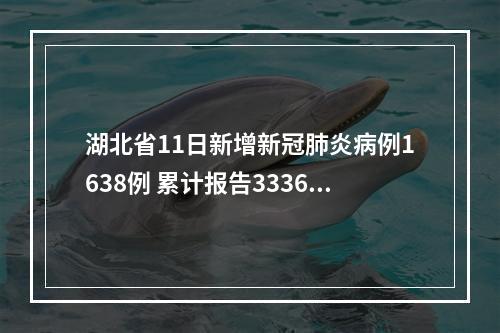 湖北省11日新增新冠肺炎病例1638例 累计报告33366例