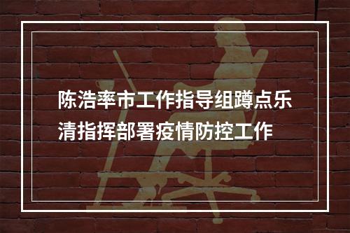 陈浩率市工作指导组蹲点乐清指挥部署疫情防控工作
