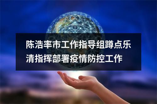 陈浩率市工作指导组蹲点乐清指挥部署疫情防控工作