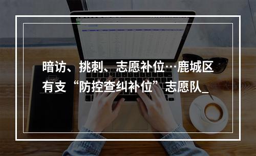 暗访、挑刺、志愿补位…鹿城区有支“防控查纠补位”志愿队_