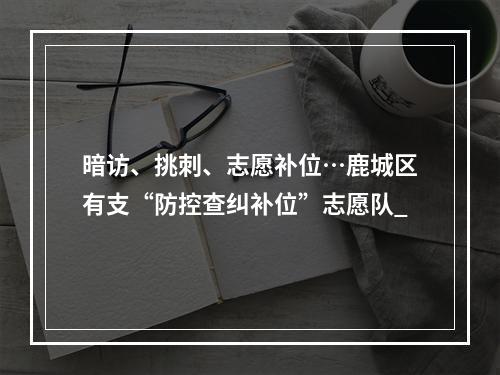 暗访、挑刺、志愿补位…鹿城区有支“防控查纠补位”志愿队_