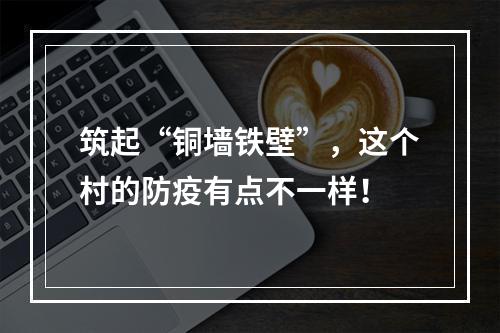 筑起“铜墙铁壁”，这个村的防疫有点不一样！