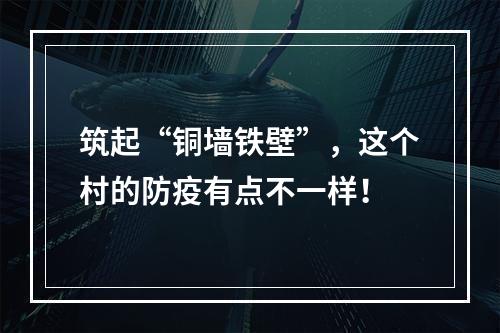 筑起“铜墙铁壁”，这个村的防疫有点不一样！