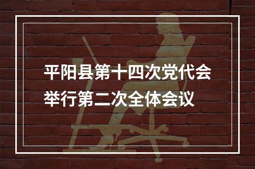 平阳县第十四次党代会举行第二次全体会议