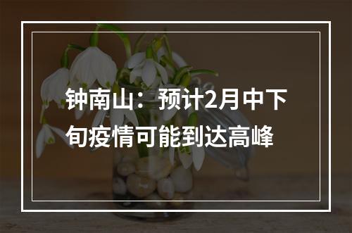 钟南山：预计2月中下旬疫情可能到达高峰
