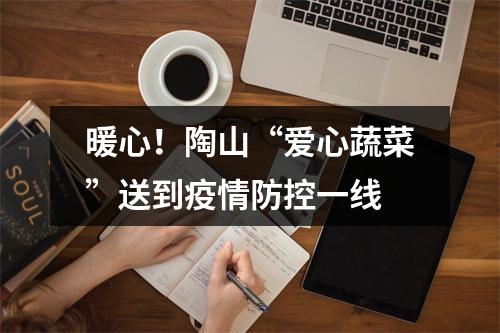 暖心！陶山“爱心蔬菜”送到疫情防控一线
