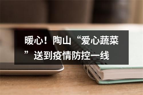 暖心！陶山“爱心蔬菜”送到疫情防控一线