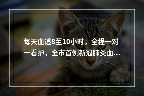 每天血透8至10小时，全程一对一看护，全市首例新冠肺炎血透患者是这么治疗的