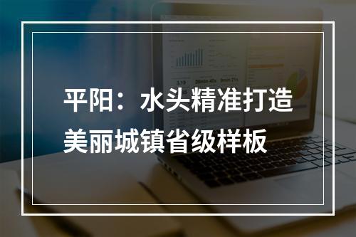 平阳：水头精准打造美丽城镇省级样板