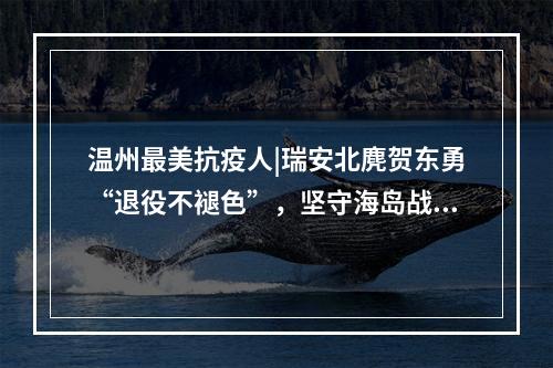 温州最美抗疫人|瑞安北麂贺东勇“退役不褪色”，坚守海岛战“疫”