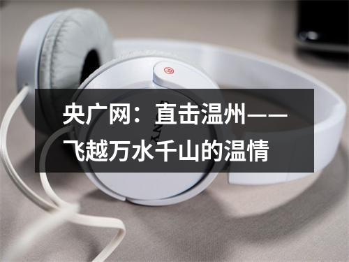 央广网：直击温州——飞越万水千山的温情