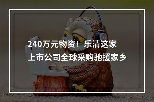 240万元物资！乐清这家上市公司全球采购驰援家乡