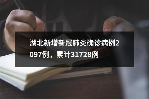 湖北新增新冠肺炎确诊病例2097例，累计31728例