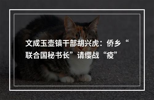 文成玉壶镇干部胡兴虎：侨乡“联合国秘书长”请缨战“疫”