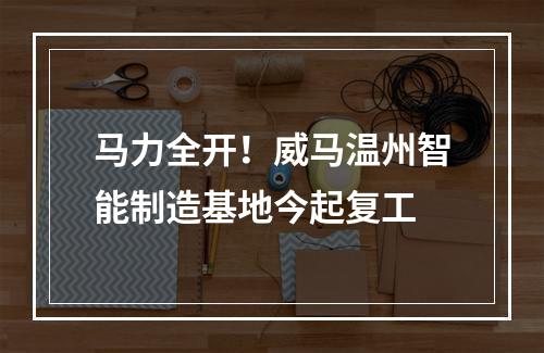 马力全开！威马温州智能制造基地今起复工