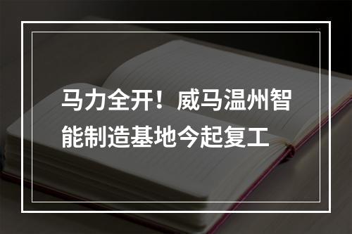 马力全开！威马温州智能制造基地今起复工