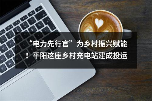 “电力先行官”为乡村振兴赋能！平阳这座乡村充电站建成投运