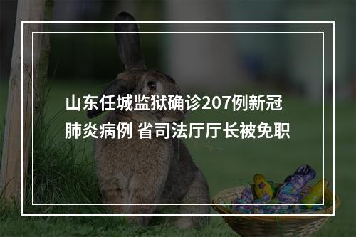 山东任城监狱确诊207例新冠肺炎病例 省司法厅厅长被免职