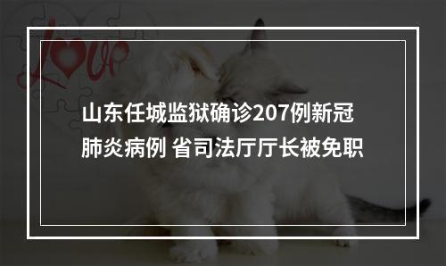 山东任城监狱确诊207例新冠肺炎病例 省司法厅厅长被免职