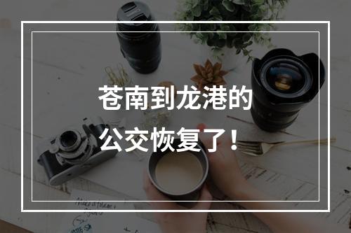 苍南到龙港的公交恢复了！