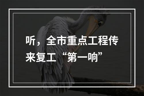听，全市重点工程传来复工“第一响”