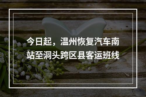 今日起，温州恢复汽车南站至洞头跨区县客运班线