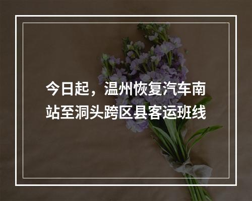 今日起，温州恢复汽车南站至洞头跨区县客运班线