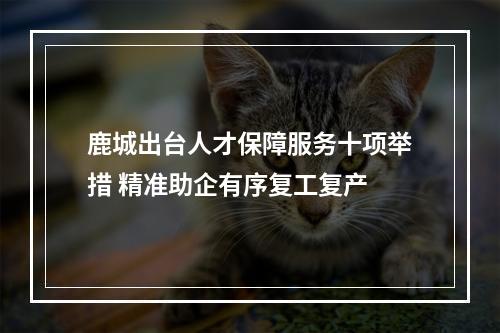 鹿城出台人才保障服务十项举措 精准助企有序复工复产