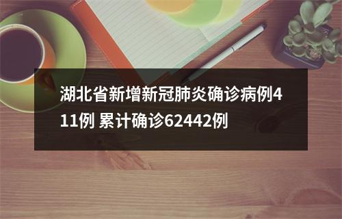 湖北省新增新冠肺炎确诊病例411例 累计确诊62442例