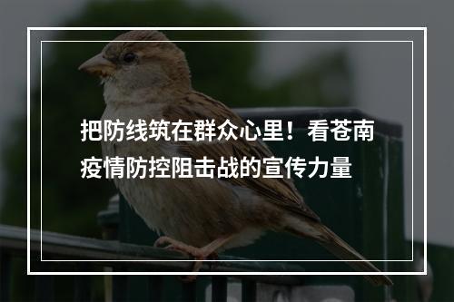 把防线筑在群众心里！看苍南疫情防控阻击战的宣传力量