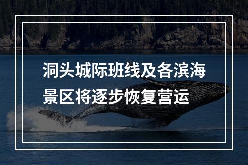 洞头城际班线及各滨海景区将逐步恢复营运