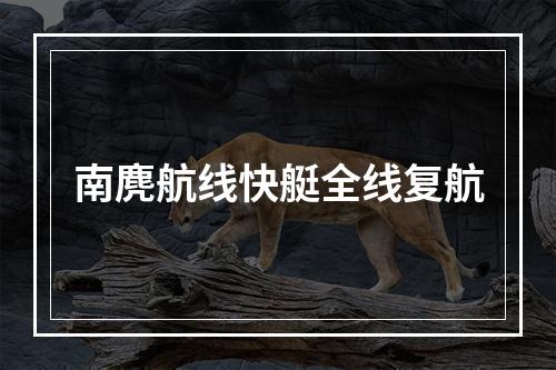 南麂航线快艇全线复航