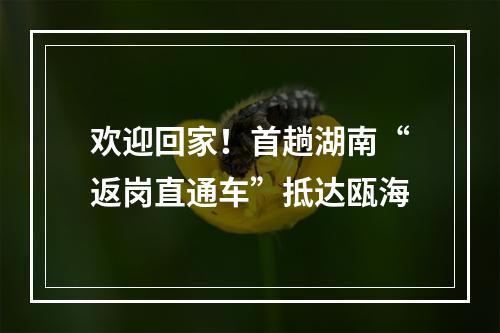 欢迎回家！首趟湖南“返岗直通车”抵达瓯海
