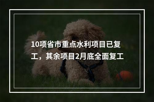 10项省市重点水利项目已复工，其余项目2月底全面复工