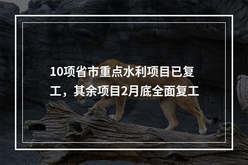 10项省市重点水利项目已复工，其余项目2月底全面复工