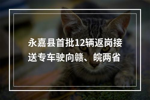 永嘉县首批12辆返岗接送专车驶向赣、皖两省