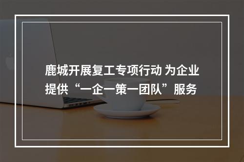 鹿城开展复工专项行动 为企业提供“一企一策一团队”服务