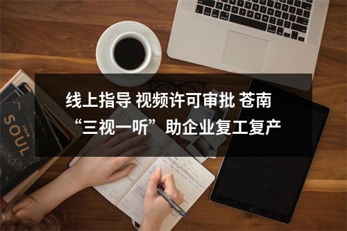 线上指导 视频许可审批 苍南“三视一听”助企业复工复产