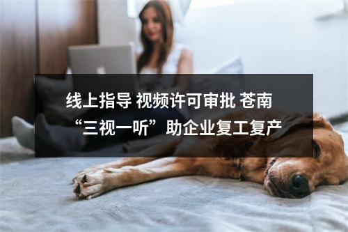 线上指导 视频许可审批 苍南“三视一听”助企业复工复产