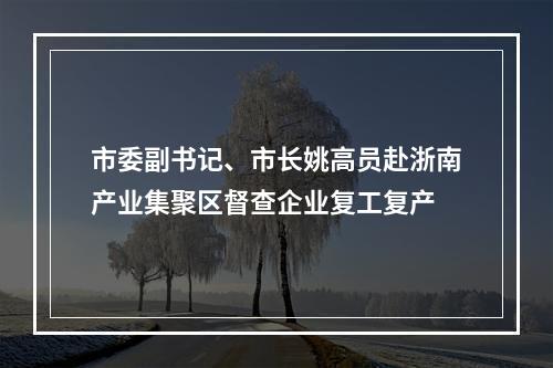 市委副书记、市长姚高员赴浙南产业集聚区督查企业复工复产