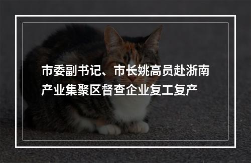 市委副书记、市长姚高员赴浙南产业集聚区督查企业复工复产