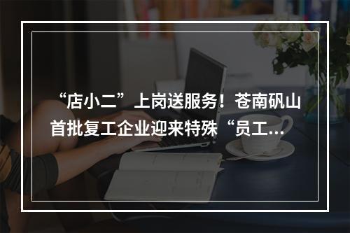 “店小二”上岗送服务！苍南矾山首批复工企业迎来特殊“员工”