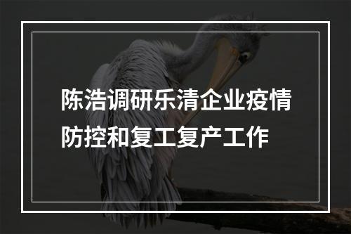 陈浩调研乐清企业疫情防控和复工复产工作