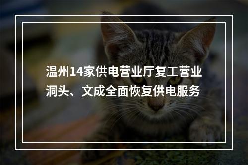 温州14家供电营业厅复工营业洞头、文成全面恢复供电服务