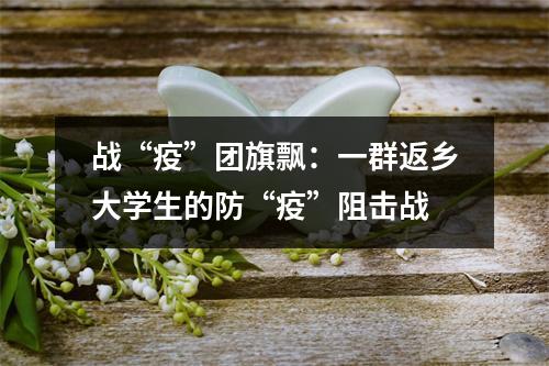 战“疫”团旗飘：一群返乡大学生的防“疫”阻击战