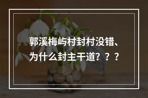 郭溪梅屿村封村没错、为什么封主干道？？？