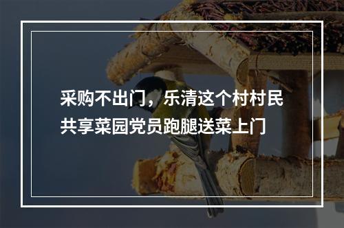 采购不出门，乐清这个村村民共享菜园党员跑腿送菜上门