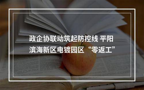 政企协联动筑起防控线 平阳滨海新区电镀园区“零返工”